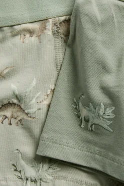 Dinosauruskuvioiset alushousut, 2-pack | Vaaleanvihreä | Lapset | Newbie
