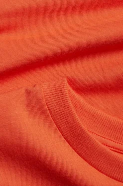 Puuvillatrikoota oleva eläinaiheinen t-paita | Oranssi | Lapset | Kappahl