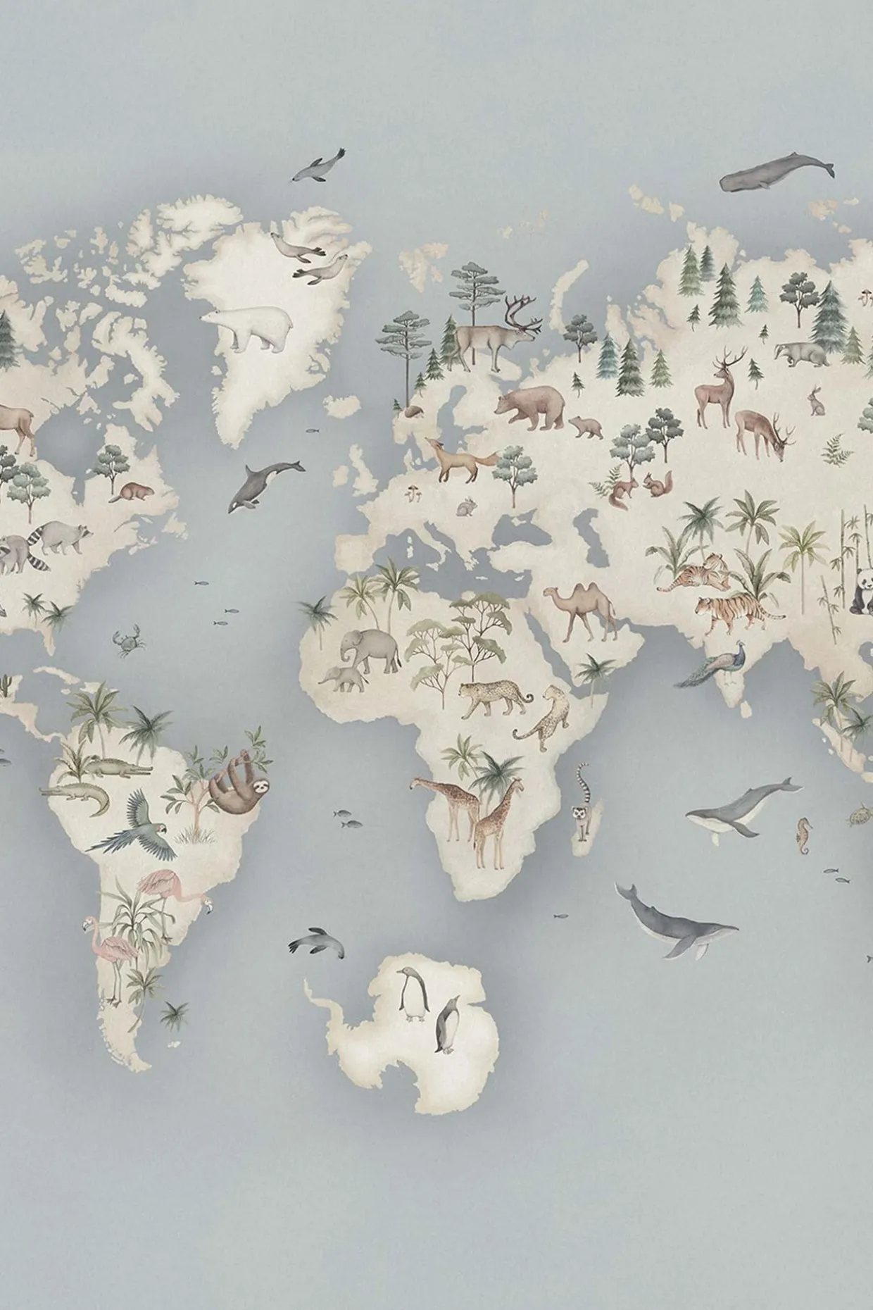 Tapetti Little Explorer - Mural | Vaaleansininen | Vauvat | Newbie