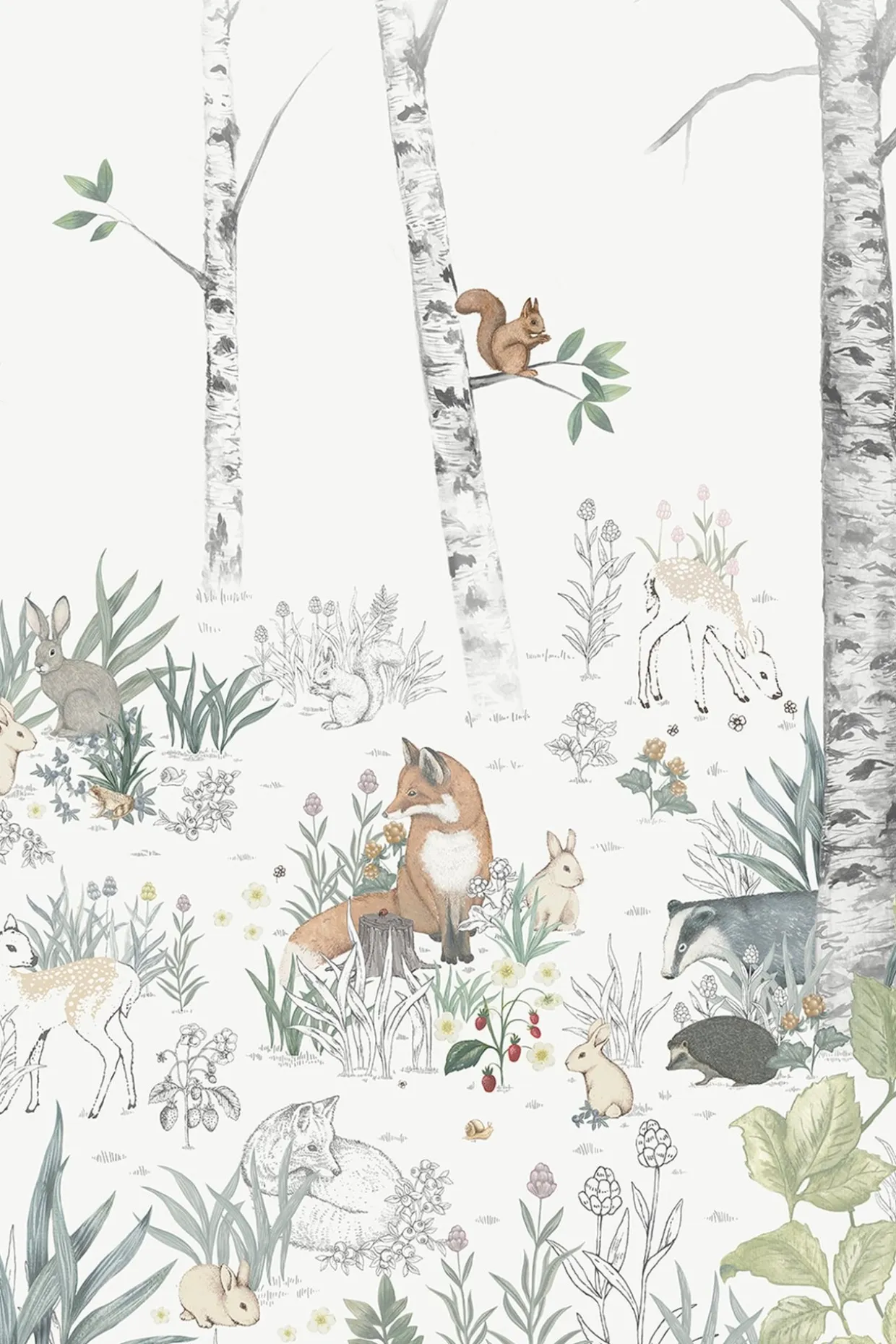 Tapetti Magic Forest - kuvatapetti | Koralli | Vauvat | Newbie