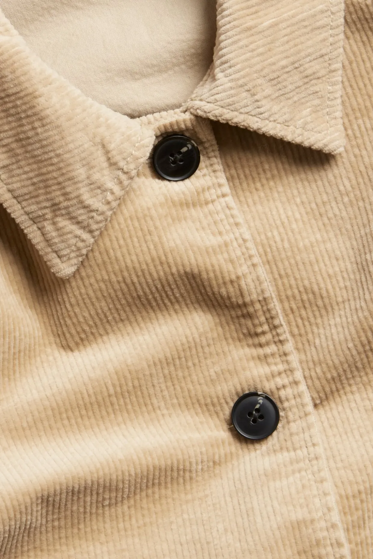 Vakosamettitakki | Beige | Naiset | Kappahl